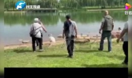 河南女士爆料新闻事件是真的吗,河南女士爆料新闻事件真实性调查